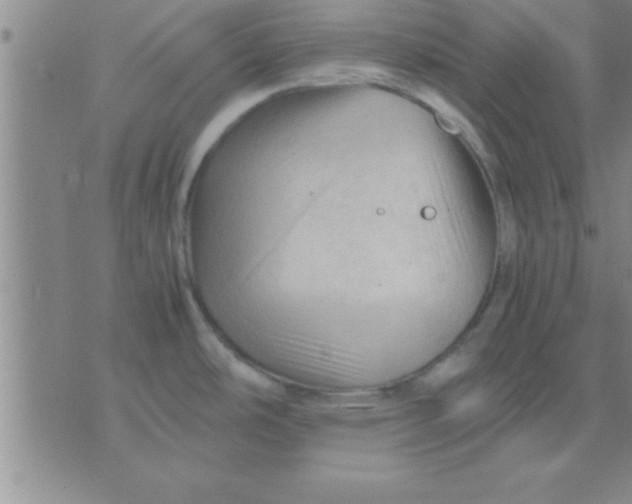 X0000075821486200610061744