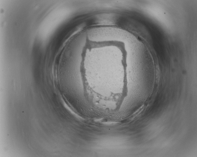 X0000075821487200610061744