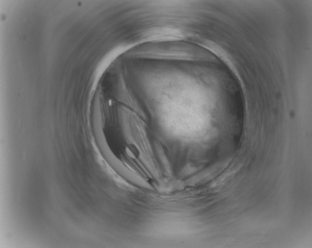 X0000075821488200610061744