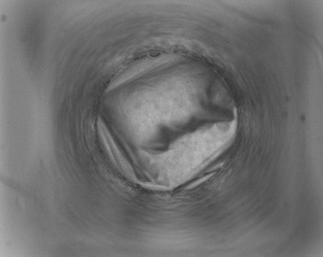 X0000075821489200610061743