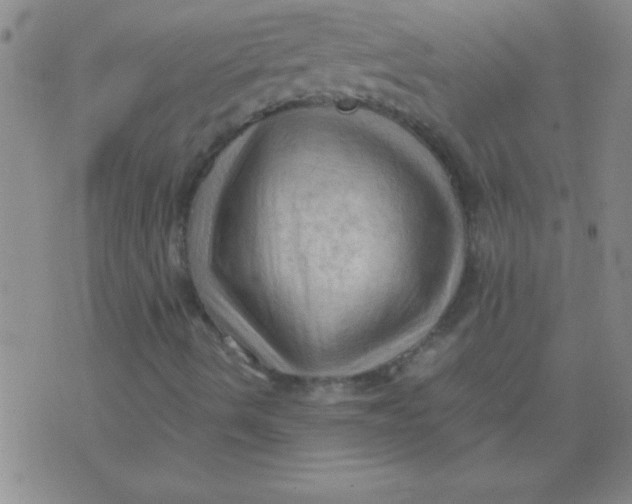 X0000075821490200610061743