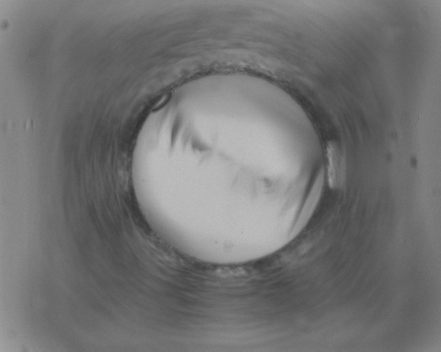 X0000075821491200610061743