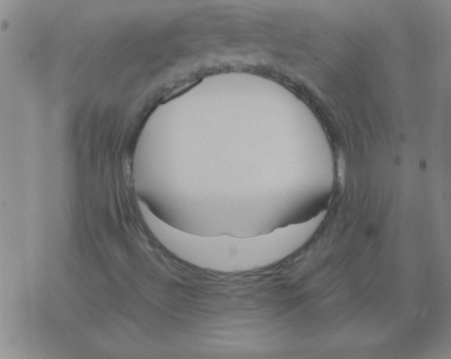 X0000075821492200610061743