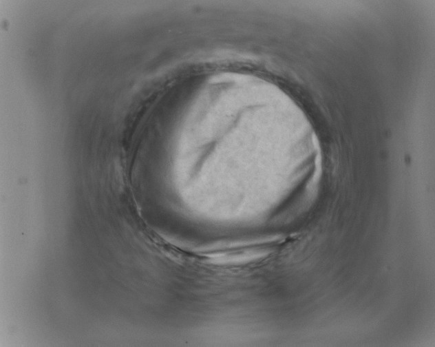 X0000075821493200610061743