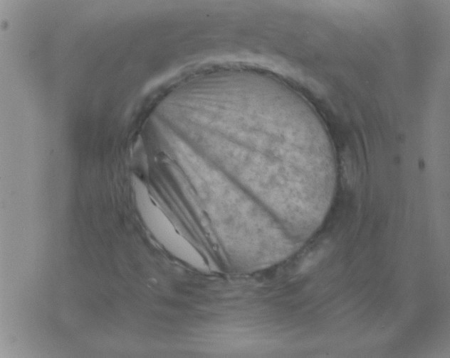 X0000075821494200610061743