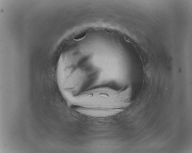 X0000075821495200610061743