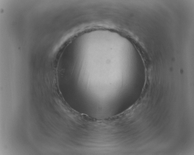 X0000075821496200610061743