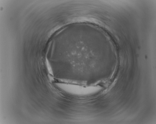 X0000075821497200610061743