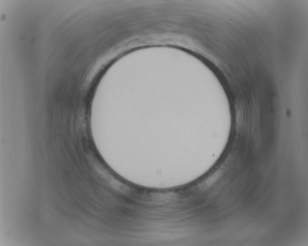 X0000075821498200610061743