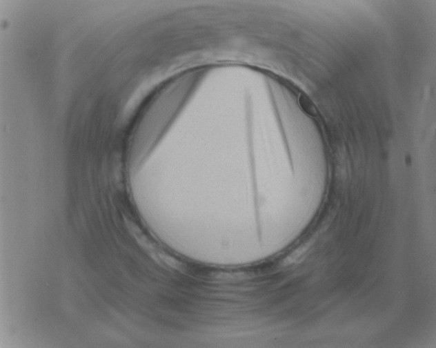 X0000075821499200610061743