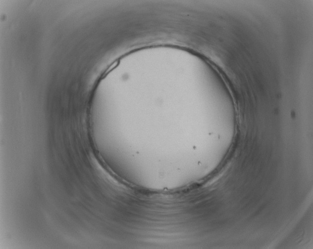 X0000075821500200610061743