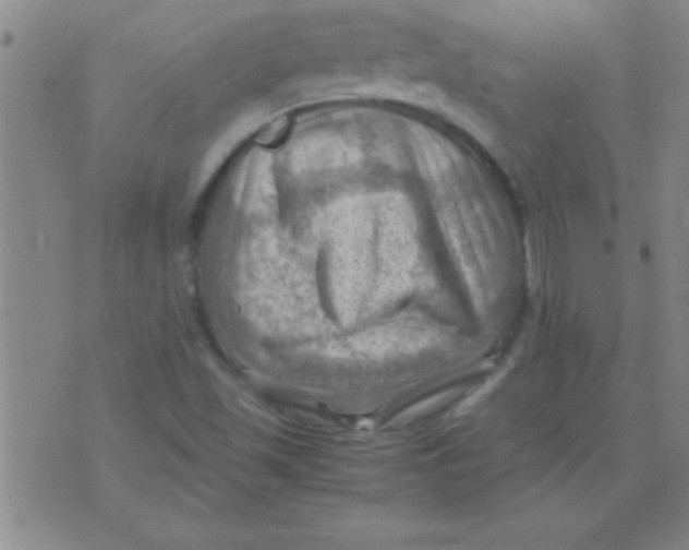 X0000075821501200610061743