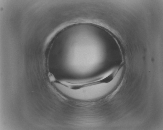 X0000075821502200610061744