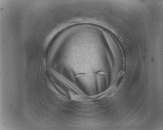 X0000075821503200610061744