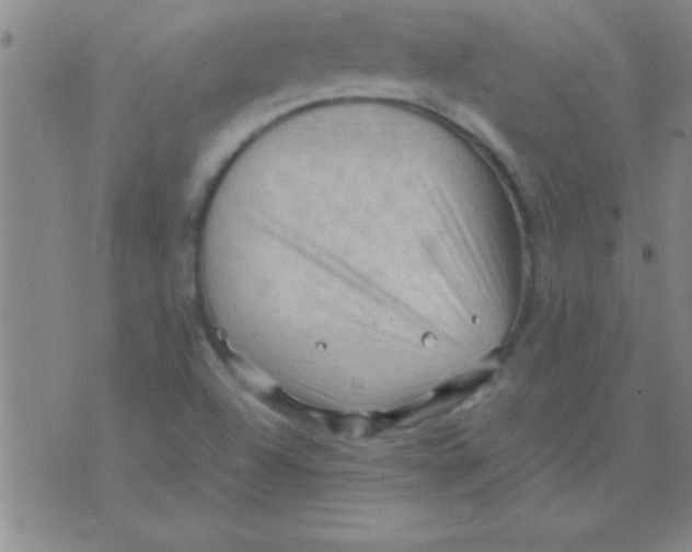 X0000075821504200610061744