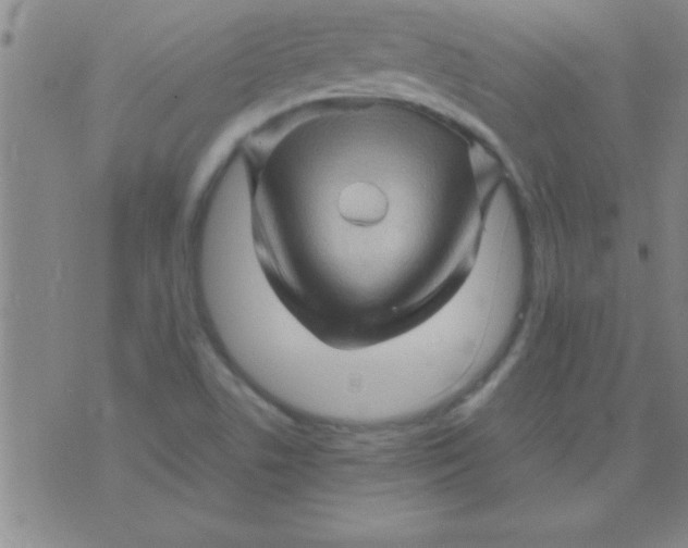 X0000075821506200610061744