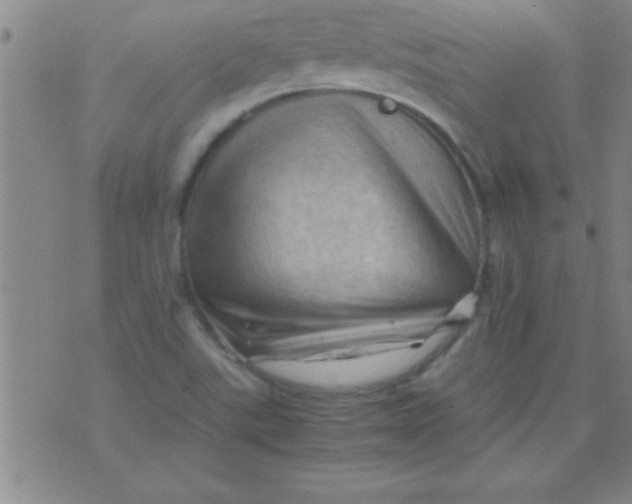 X0000075821507200610061744