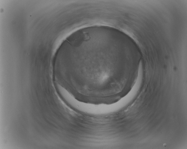 X0000075821508200610061744