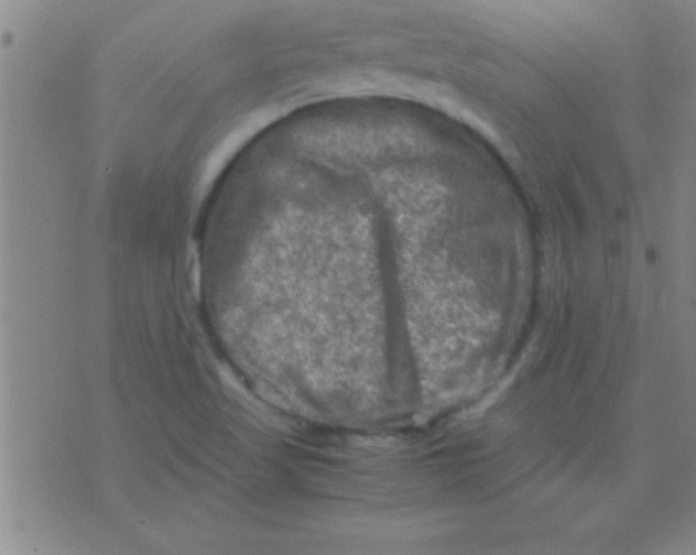 X0000075821509200610061744