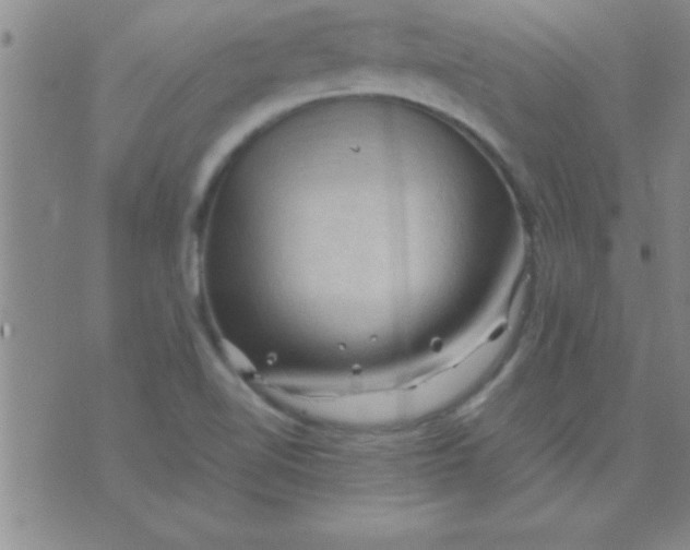 X0000075821510200610061744