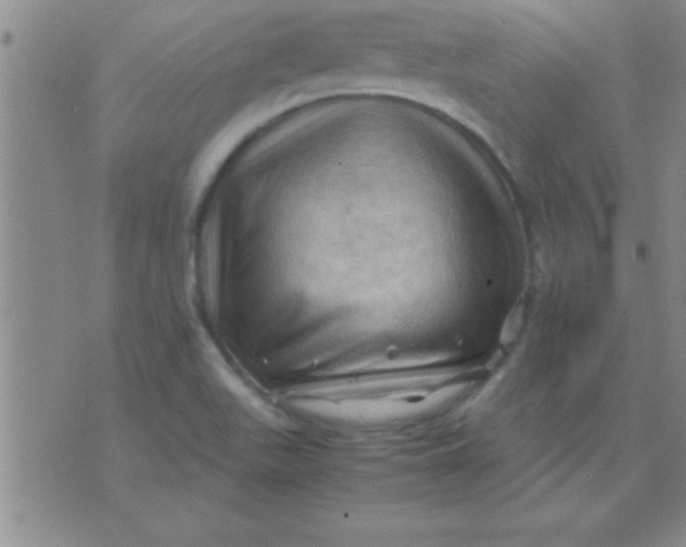 X0000075821511200610061744