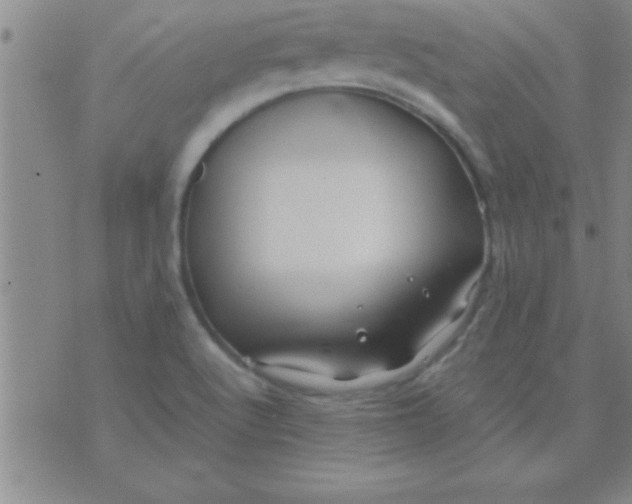 X0000075821512200610061744