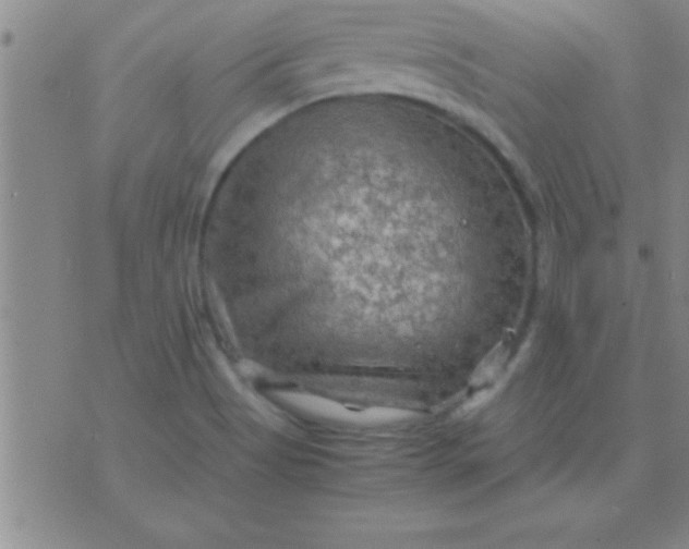 X0000075821513200610061744