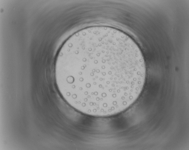 X0000075821514200610061744