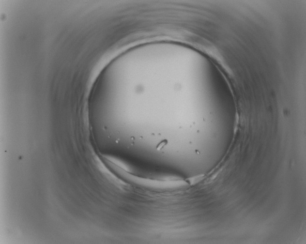 X0000075821516200610061744