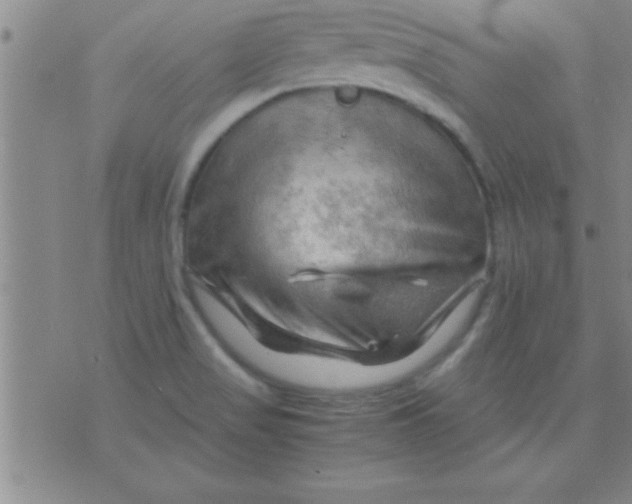 X0000075821517200610061744