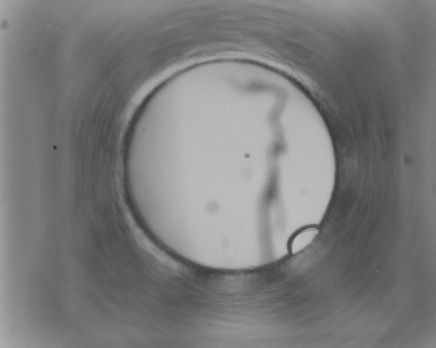 X0000075821518200610061744