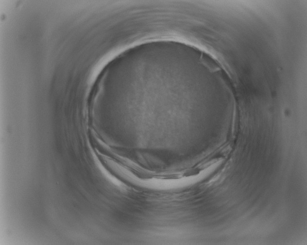 X0000075821519200610061744