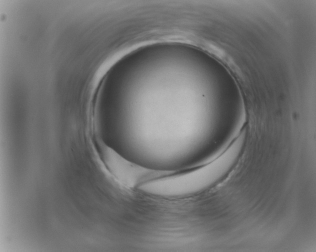 X0000075821520200610061744