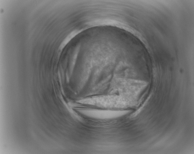 X0000075821521200610061744