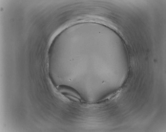 X0000075821522200610061744