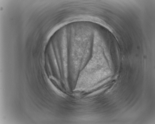 X0000075821523200610061744