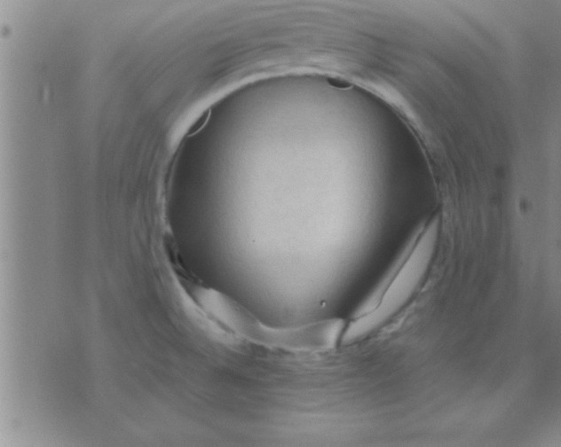 X0000075821524200610061744