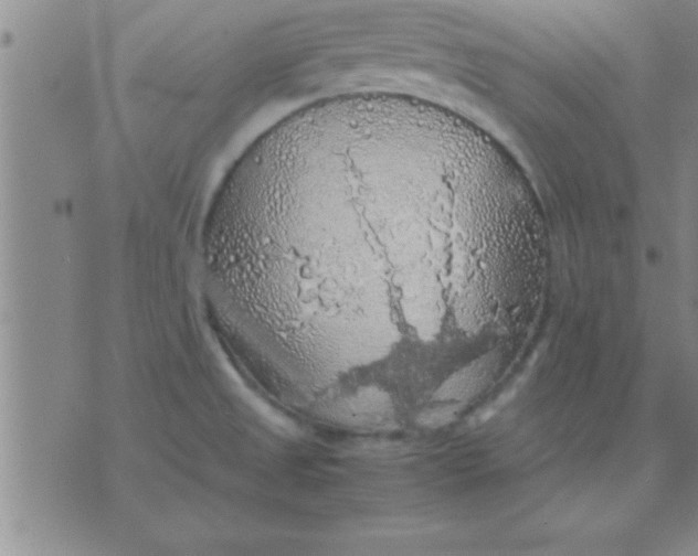 X0000075821525200610061744