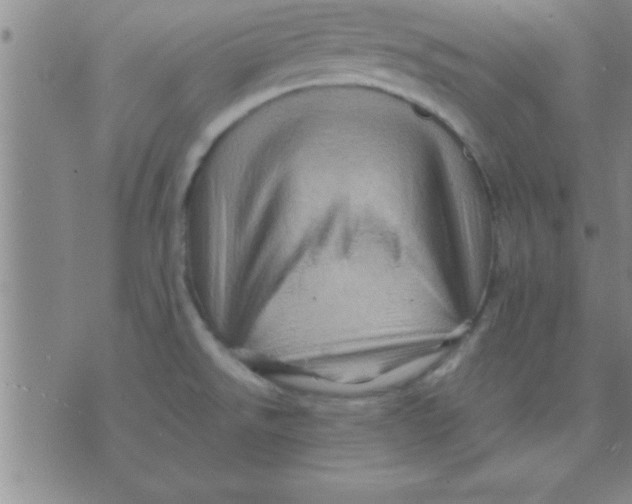 X0000075821526200610061744