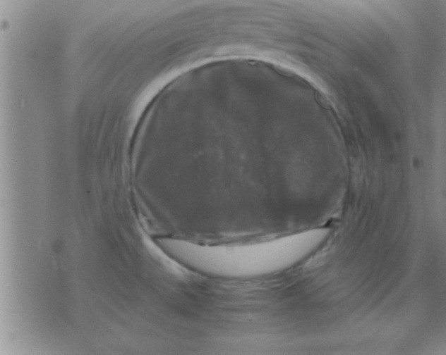 X0000075821527200610061744