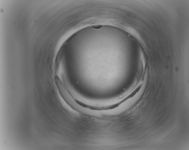 X0000075821528200610061744