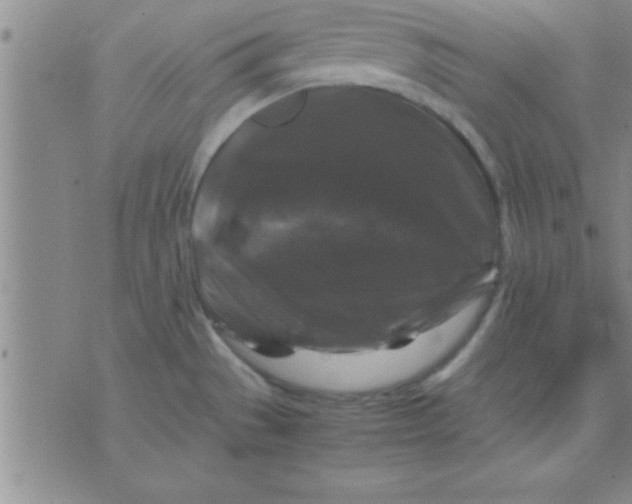 X0000075821529200610061744