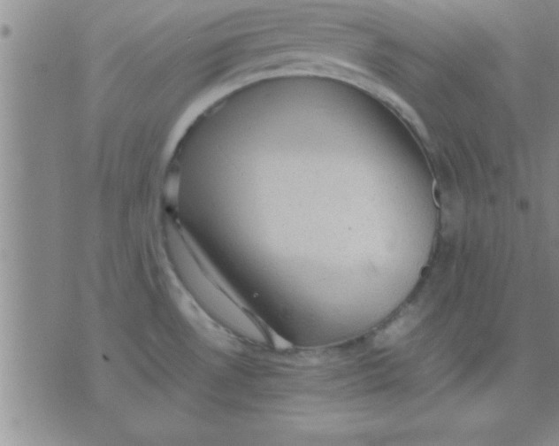 X0000075821530200610061744