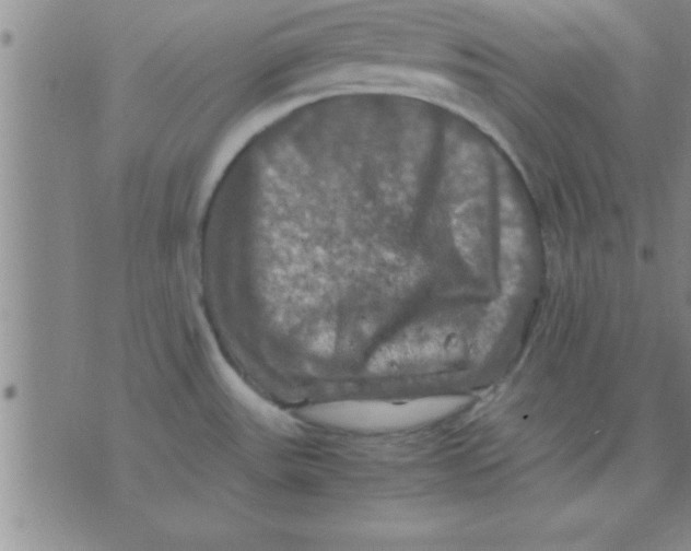 X0000075821531200610061744