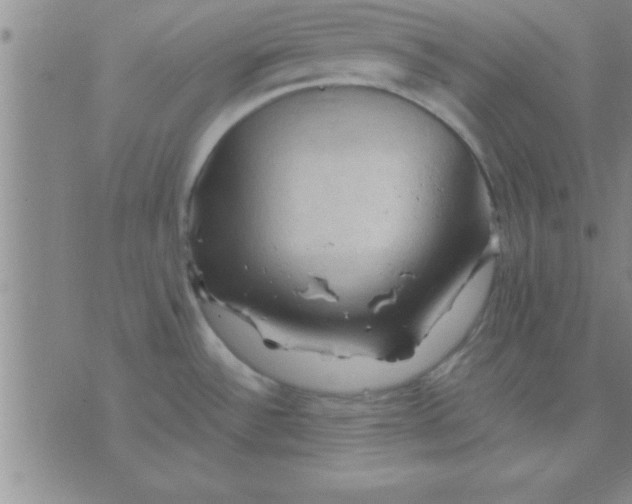 X0000075821532200610061744