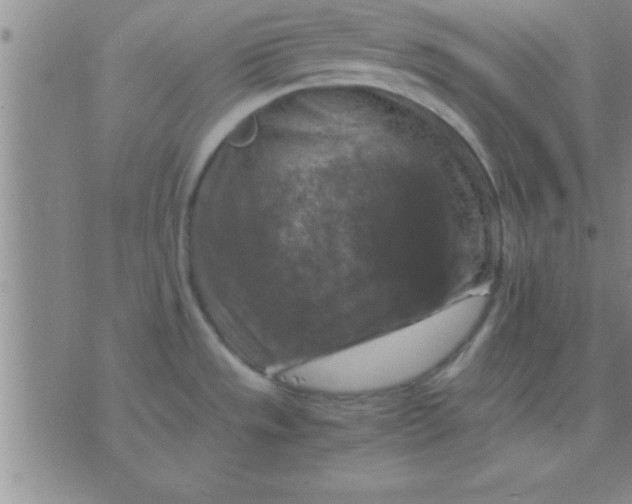 X0000075821533200610061744