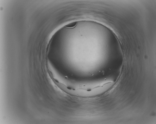 X0000075821534200610061744