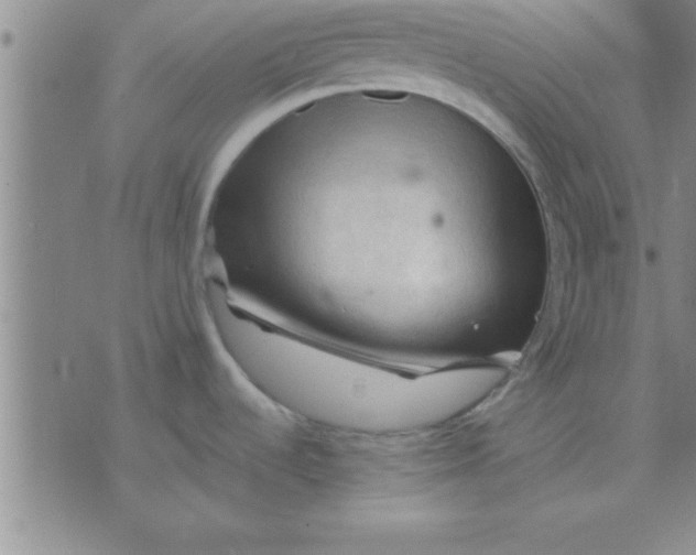 X0000075821536200610061744