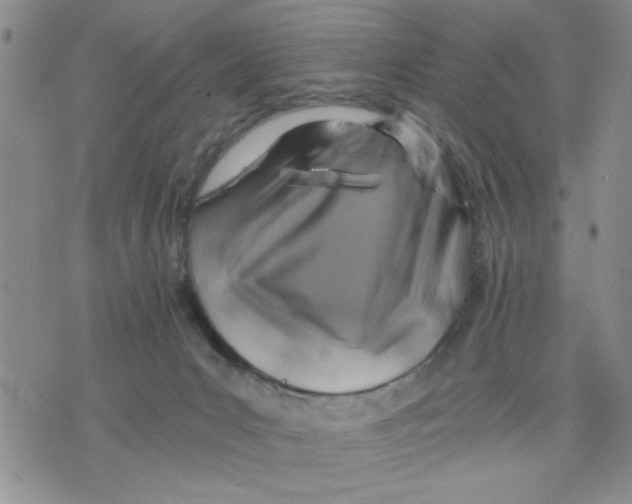 X0000075820031200610151506