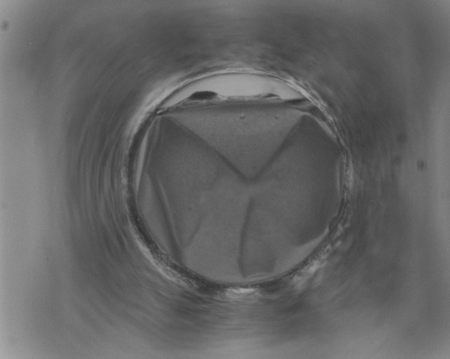 X0000075820055200610151505